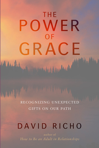 Cover image: The Power of Grace 9781611801460