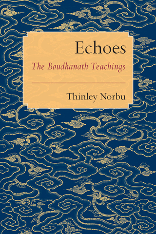 Cover image: Echoes 9781611803020