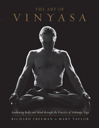 Cover image: The Art of Vinyasa 9781611802795