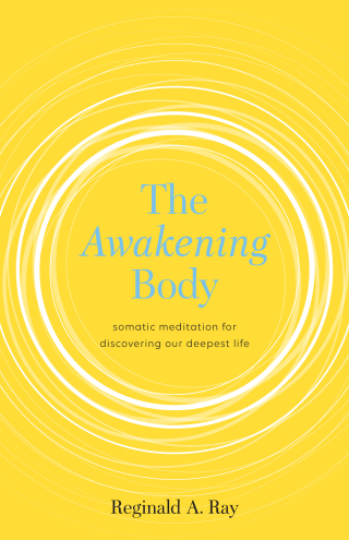 Cover image: The Awakening Body 9781611803716