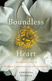 Cover image: Boundless Heart 9781611803730