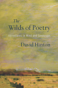 Cover image: The Wilds of Poetry 9781611804607