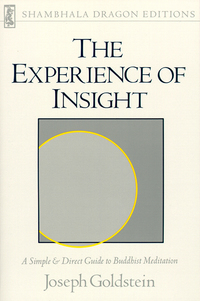 Cover image: The Experience of Insight 9780877732266