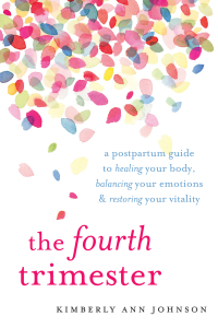 Cover image: The Fourth Trimester 9781611804003