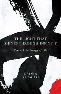 Cover image: The Light That Shines through Infinity 9781611804669