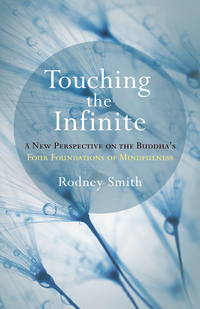 Cover image: Touching the Infinite 9781611805024