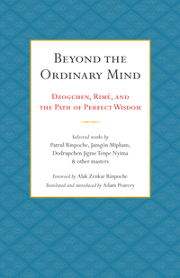 Cover image: Beyond the Ordinary Mind 9781559394703