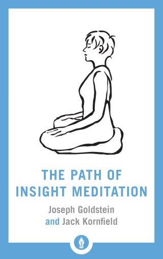 Cover image: The Path of Insight Meditation 9781611805819