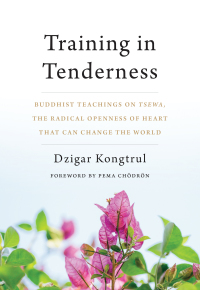 Cover image: Training in Tenderness 9781611805581
