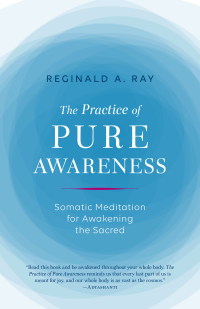 Cover image: The Practice of Pure Awareness 9781611803815