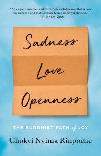 Cover image: Sadness, Love, Openness 9781611804881