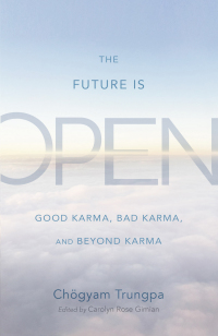 Cover image: The Future Is Open 9781590309537