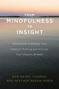 Cover image: From Mindfulness to Insight 9781611806793