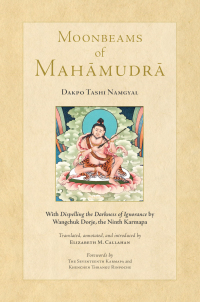 Cover image: Moonbeams of Mahamudra 9781559394802