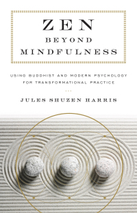 Cover image: Zen beyond Mindfulness 9781611806625