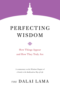 Cover image: Perfecting Wisdom 9781611807349