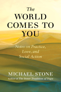 Cover image: The World Comes to You 9781611806113