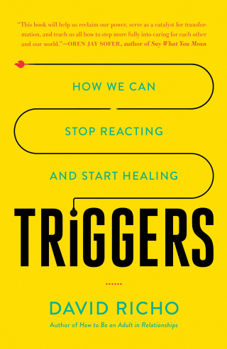 Cover image: Triggers 9781611807653