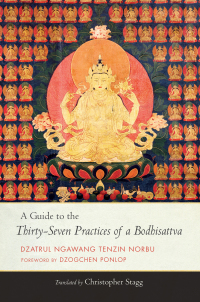 Cover image: A Guide to the Thirty-Seven Practices of a Bodhisattva 9781559394918