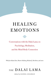 Cover image: Healing Emotions 9781611808636