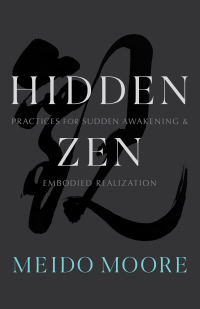 Cover image: Hidden Zen 9781611808469