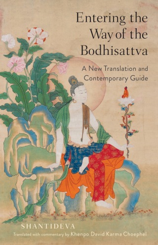 Cover image: Entering the Way of the Bodhisattva 9781611808629