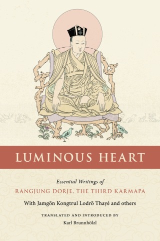 Cover image: Luminous Heart 9781559395007