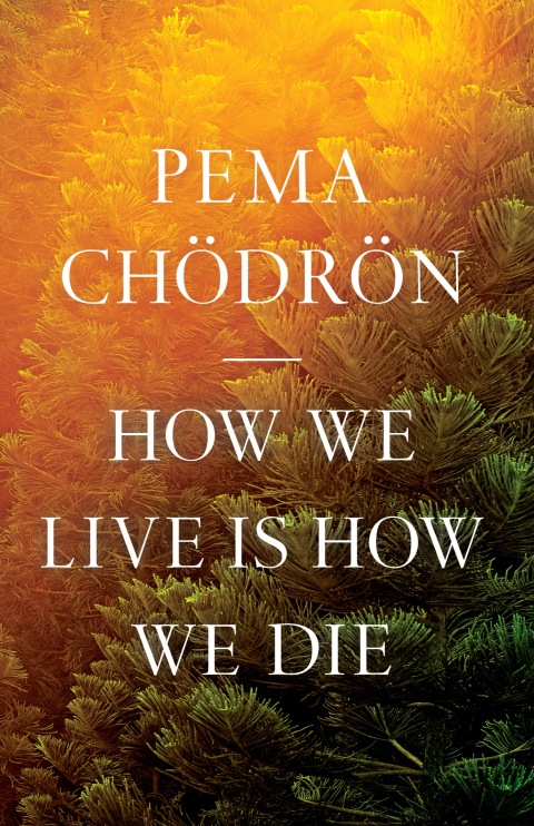 How We Live Is How We Die - FULL INSTANT DOWNLOAD | PDF DOCX EPUB