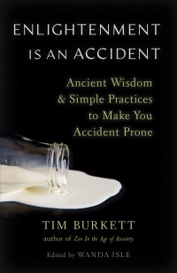 Cover image: Enlightenment Is an Accident 9781645471356