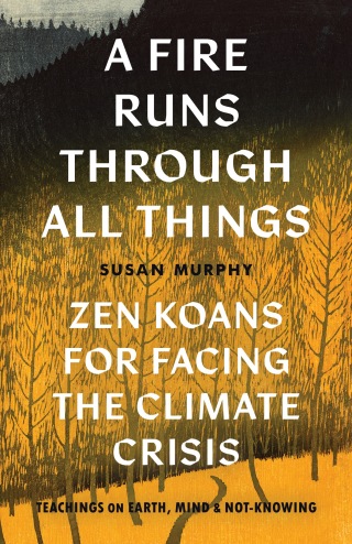 Cover image: A Fire Runs through All Things 9781645471080