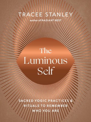 Cover image: The Luminous Self 9781645471660