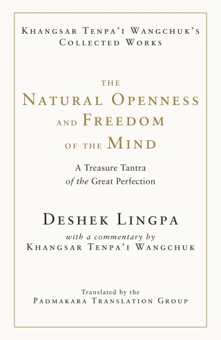 Cover image: The Natural Openness and Freedom of the Mind 9781645473343