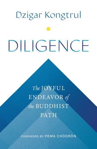 Cover image: Diligence 9781645472360
