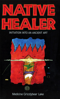 Cover image: Native Healer 9780835606677