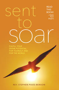 Cover image: Sent to Soar 9780835609227