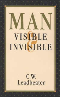 Cover image: Man, Visible and Invisible 2nd edition 9780835603119