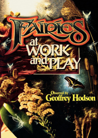 Cover image: Fairies at Work and Play 9780835605533