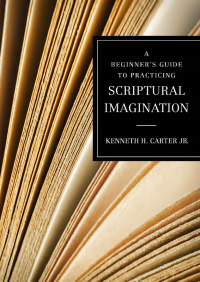 Omslagafbeelding: A Beginner's Guide to Practicing Scriptural Imagination 9780835819183