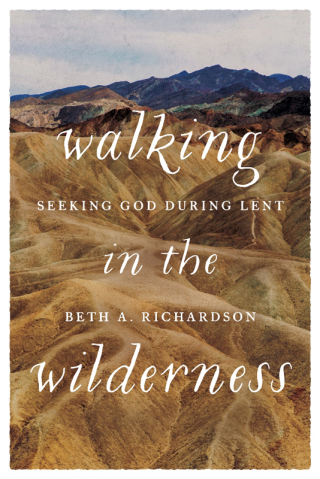Omslagafbeelding: Walking in the Wilderness 9780835819336