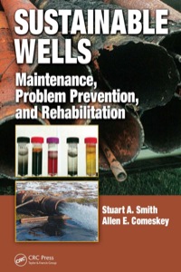 Imagen de portada: Sustainable Wells 1st edition 9780849375767