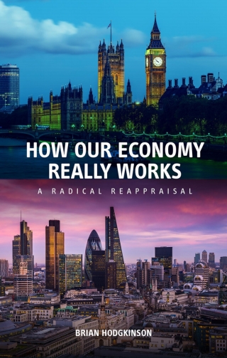 Cover image: How Our Economy Really Works 9780856835292