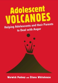 Cover image: Adolescent Volcanoes 9781849052184
