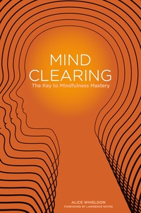 Cover image: Mind Clearing 9781849053075