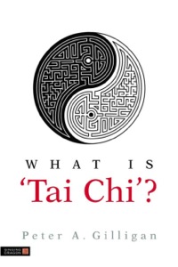 صورة الغلاف: What is 'Tai Chi'? 9781848190245