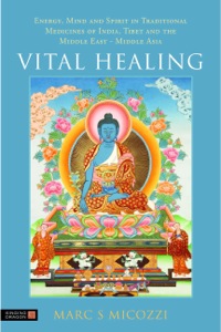 Cover image: Vital Healing 9781848190450