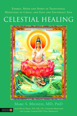 Omslagafbeelding: Celestial Healing 9781848191570