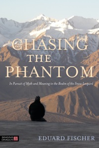 Imagen de portada: Chasing the Phantom 9781848191723