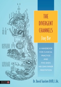 Imagen de portada: The Divergent Channels - Jing Bie 9781848191891