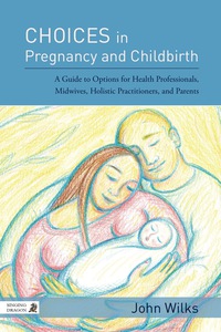 Imagen de portada: Choices in Pregnancy and Childbirth 9781848192195