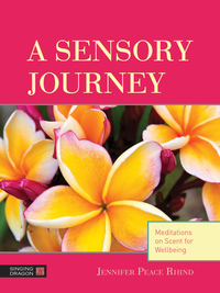 Cover image: A Sensory Journey 9781848191532